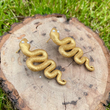 Load image into Gallery viewer, Shimmering Snakes